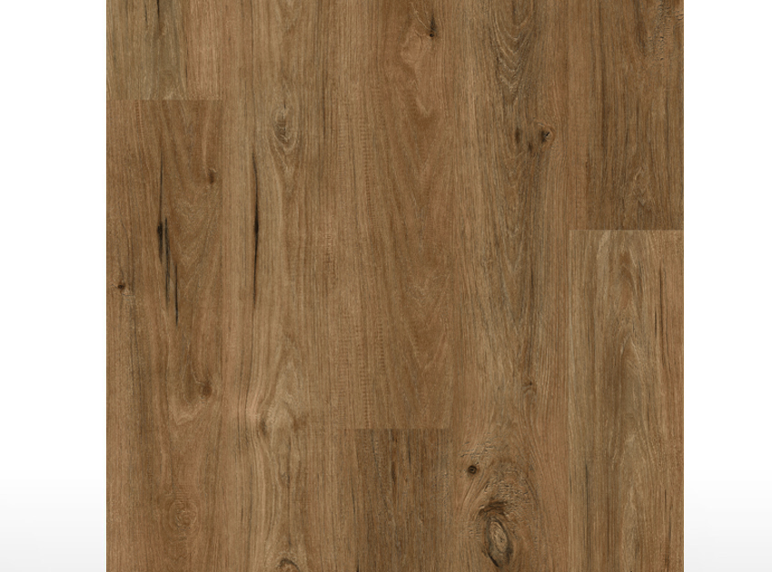 SPC | Coyote Oak